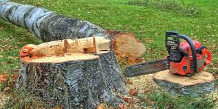 Moody, TX Tree Care Company